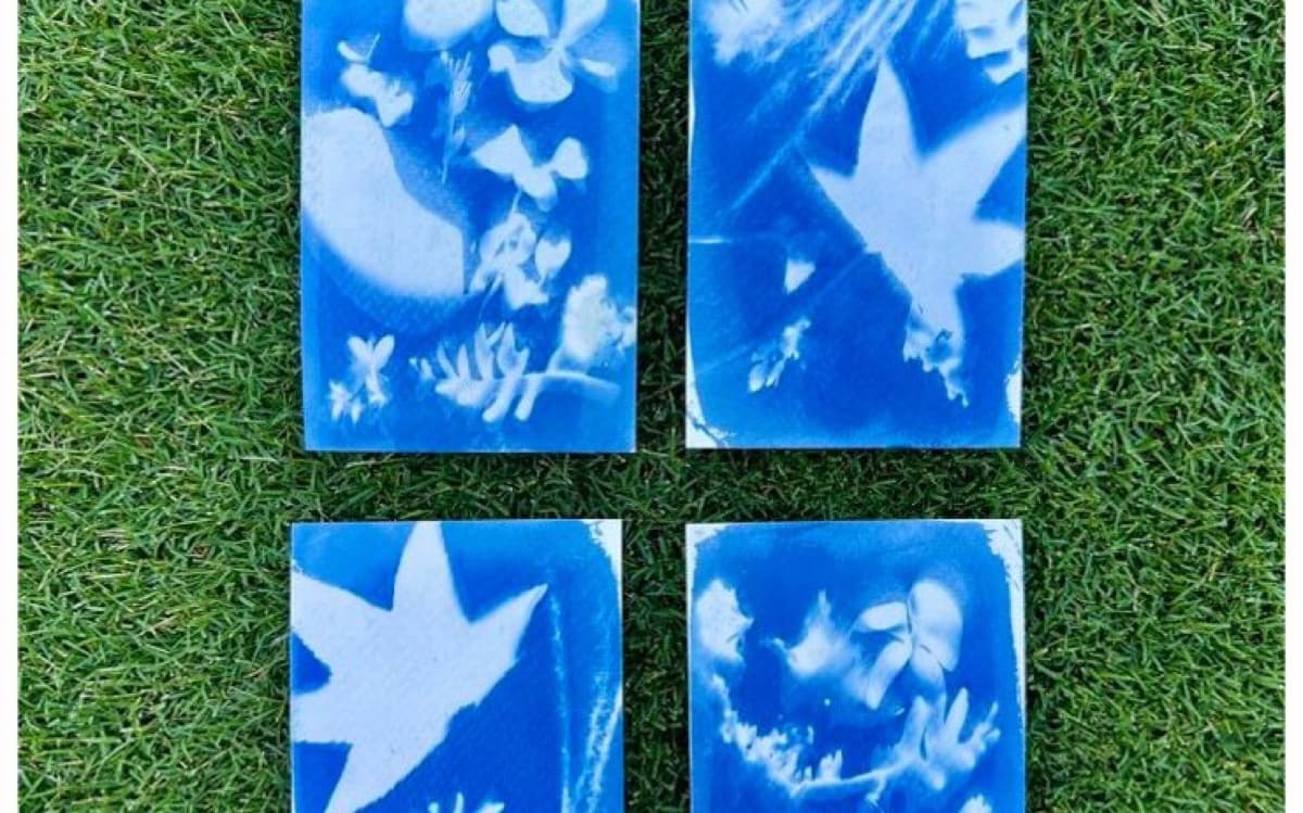 Cyanotype Afternoon