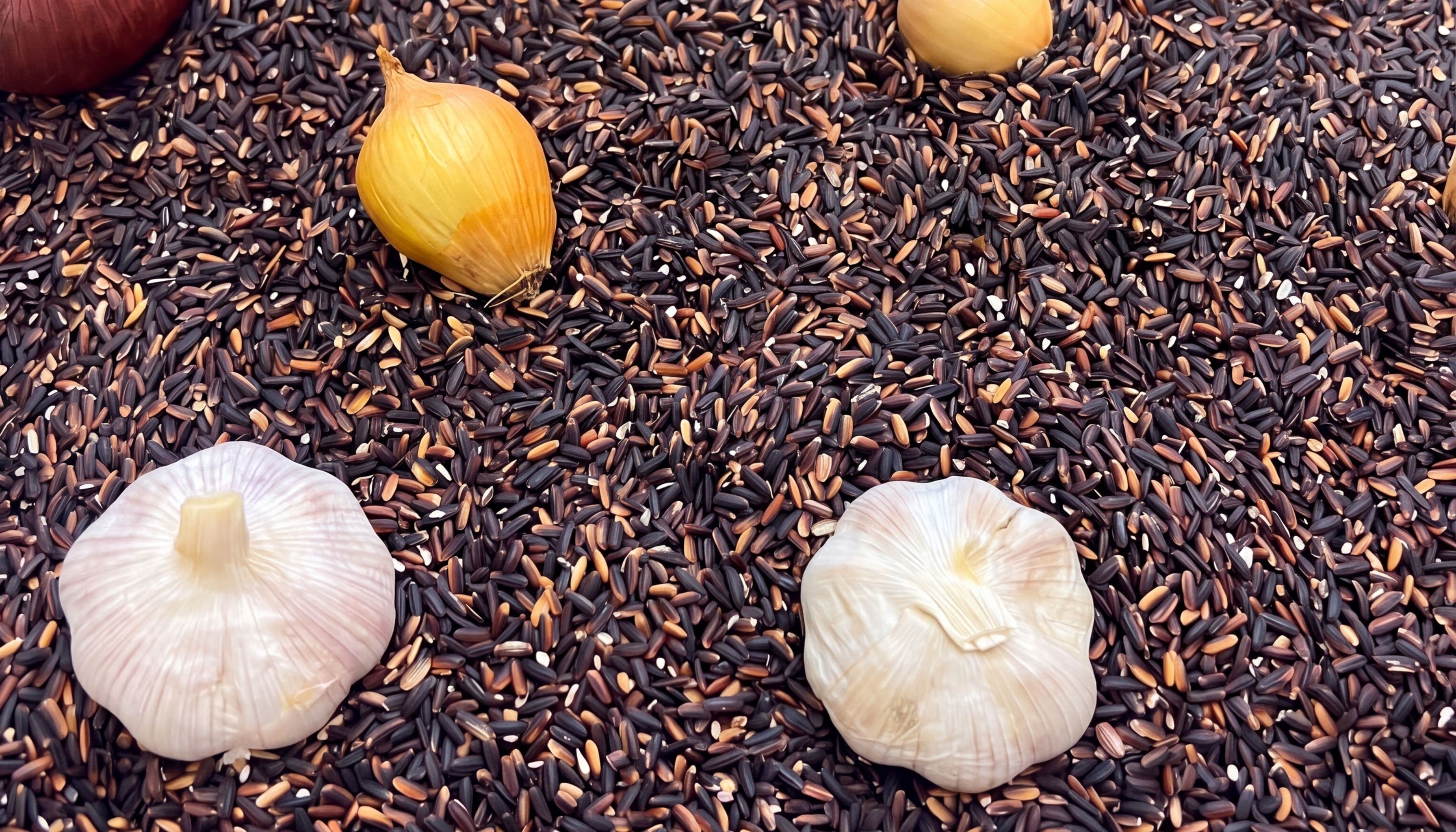 Sensory Vegetable Patch